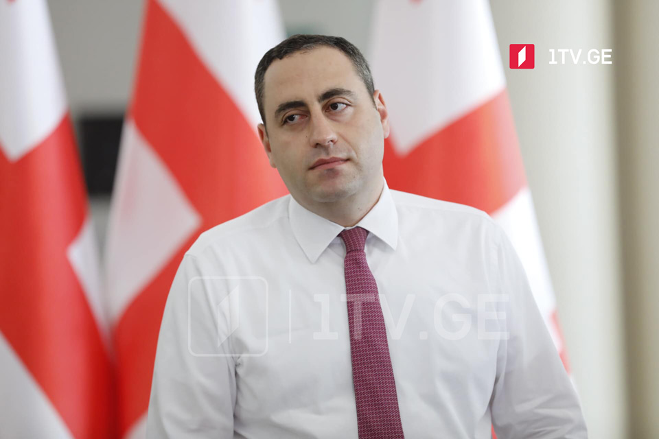 Strategy Aghmashenebeli says government should change, Georgians should hold hands, walk toward victory