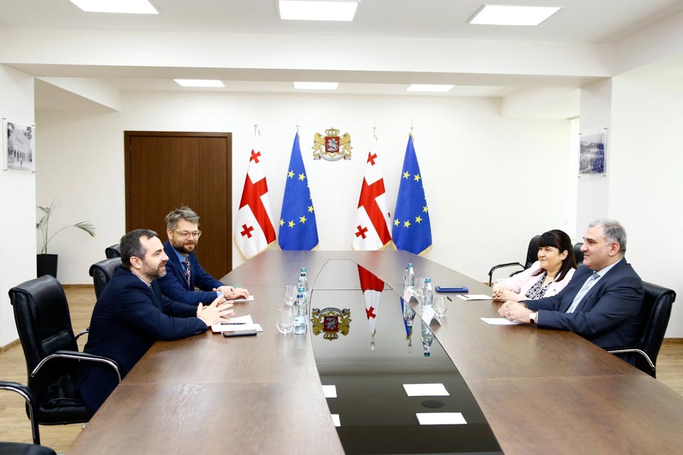Михаил Сарджвеладзе встретился с главой грузинского офиса Всемирной организации здравоохранения Сильвиу Доменте