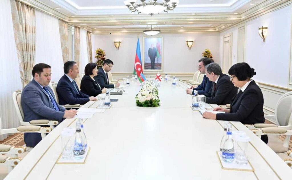Georgian parliamentary delegation meets Milli Majlis Speaker
