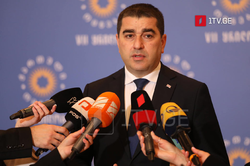 Шалва Папуашвили - Вчера мы слышали от некоторых групп европейских парламентариев, что освобождение Михаила Саакашвили и нападение на полицейского было европейской ценностью
