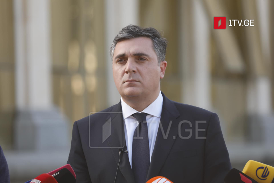 Илья Дарчиашвили – Недопустимо, неслыханно, когда министр иностранных дел, прибывший в дружественную страну, принимает участие в мероприятии, организованном оппозицией.