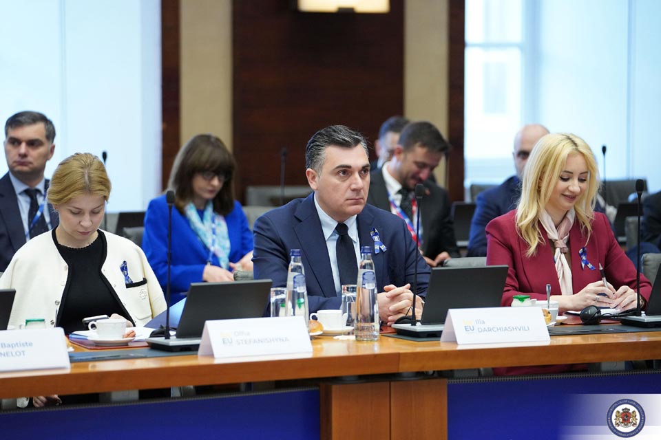 Илья Дарчиашвили обратился к участникам юбилейного заседания Совета ЕС по общим вопросам