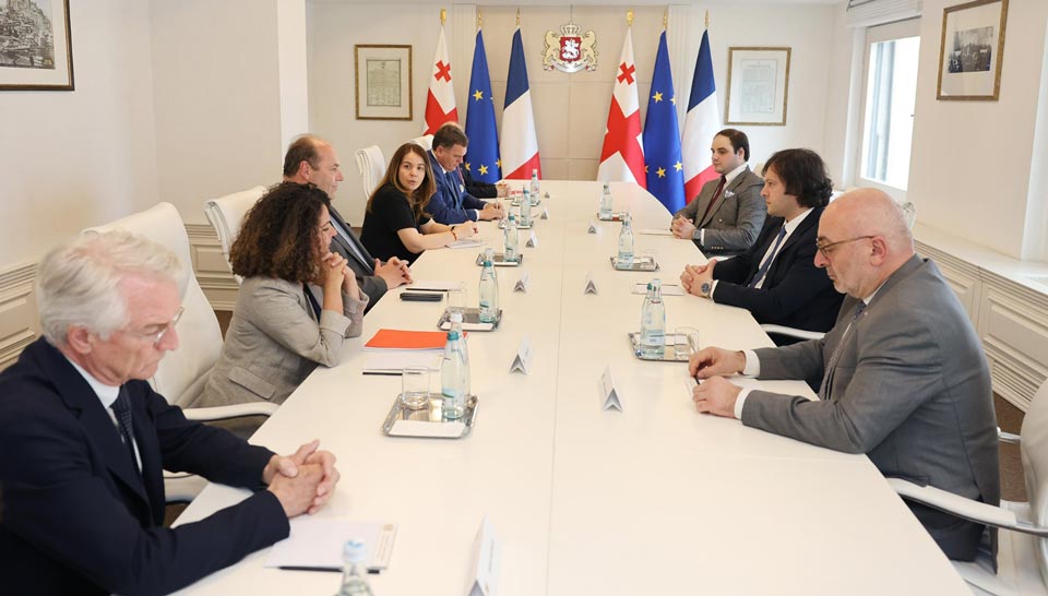 Ираклий Кобахидзе встретился с председателем комитета по европейским делам Сената Франции
