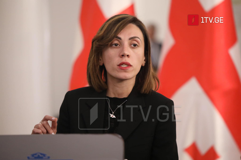 UNM Tsitlidze: Responsibility rests solely with gov't and those currently bolstering regime