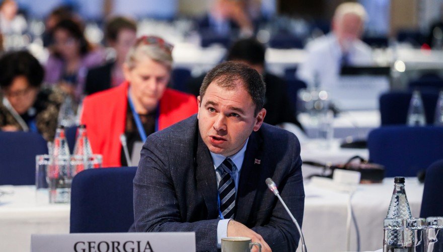 North Macedonia Georgia's partner country, Nikoloz Samkharadze says