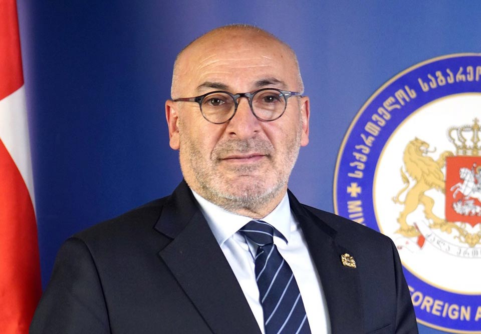 Georgian Ambassador to France steps down