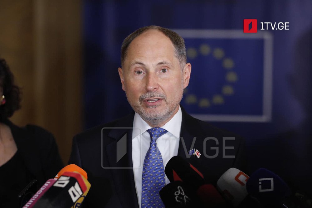 EU Ambassador: Transparency Law serious obstacle on Georgia's EU integration path