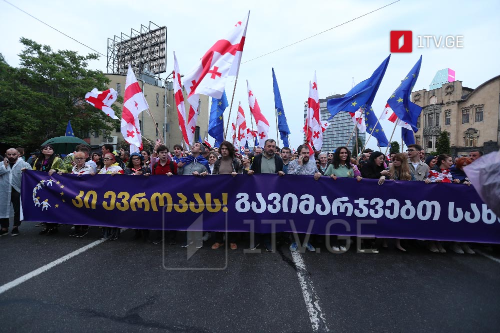 Anti-Transparency bill rally in Tbilisi