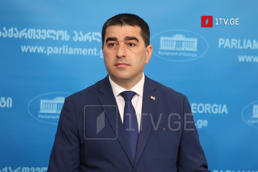 Շալվա Պապուաշվիլի. Դոնորների պարտականությունն է խստորեն հրահանգել իրենց «Էն Ջեօ»-ներին՝ ակցիան բռնության ձևի չվերածել