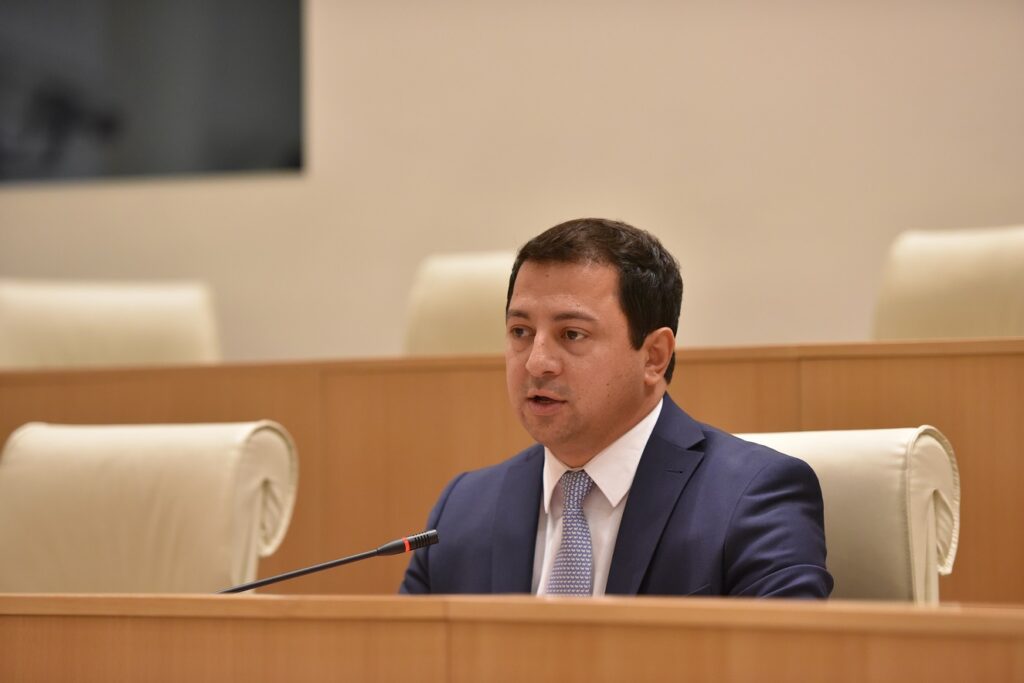 Vice Speaker: Georgia to continue progress, hatred campaign damages Georgia