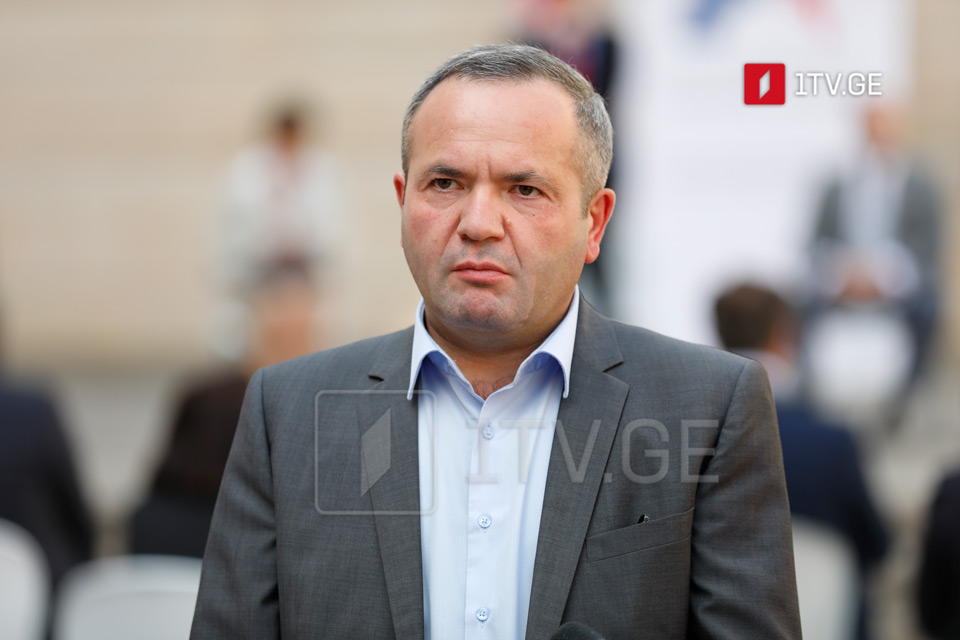 UNM's Chiaberashvili inquires if referendum aims to revise Constitution