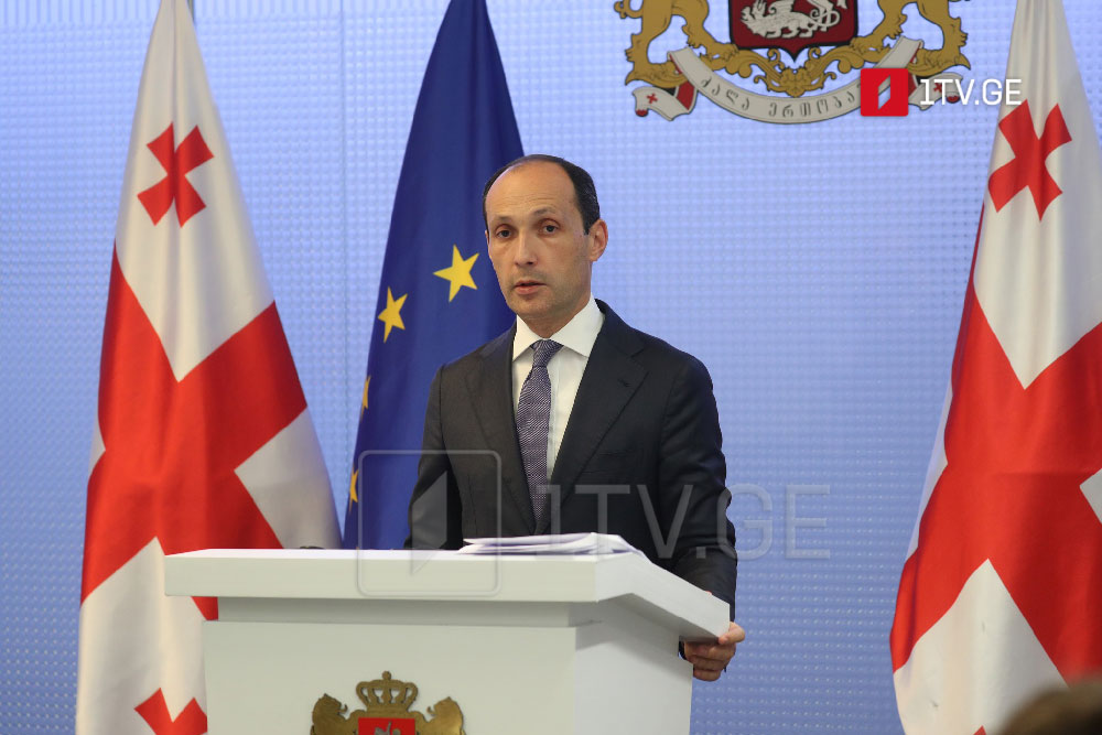 Economic Minister: We observed excessive emotions and attempts at politicizing Anaklia Project