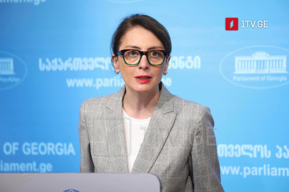 MP Dekanoidze stresses importance of fair elections