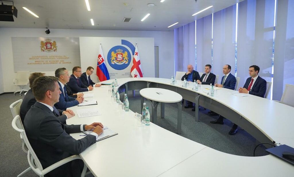 Vice PM meets Slovak gov't delegation