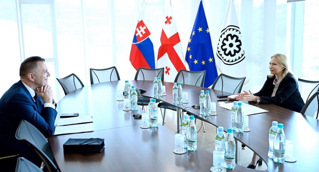 Натия Турнава встретилась с президентом Национального банка Словакии