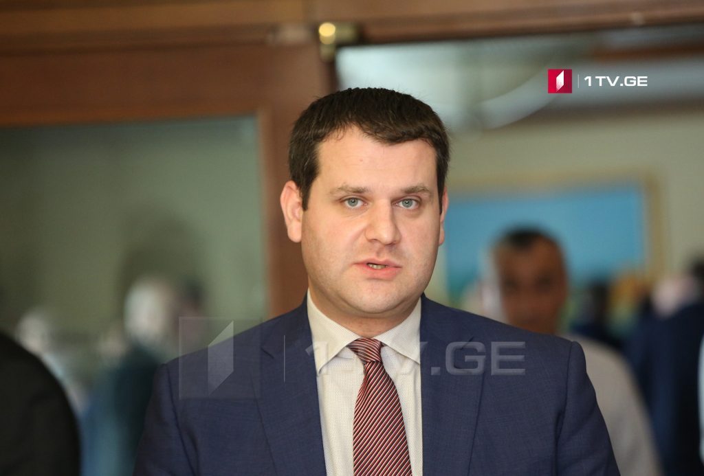 Economy Deputy Minister: Georgia achieves 80% of energy obligations in EU Association Agreement