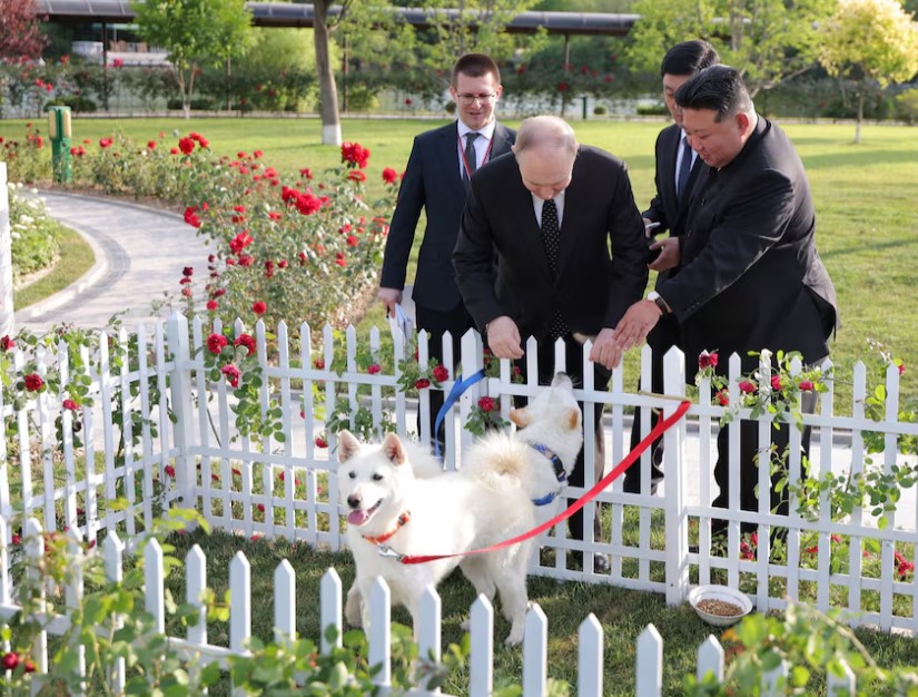 Kim Çen İn Vladimir Putinə iki it hədiyyə edib