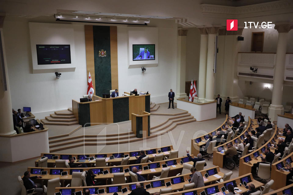Парламент принял в первом чтении законодательный пакет «О семейных ценностях и защите несовершеннолетних»