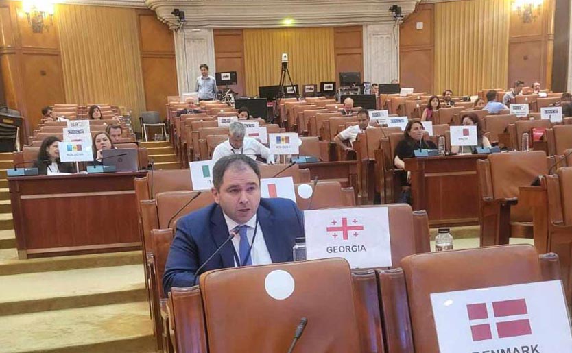 Николоз Самхарадзе на ежегодной сессии Парламентской ассамблеи ОБСЕ рассказал об угрозах, возникающих в результате оккупации