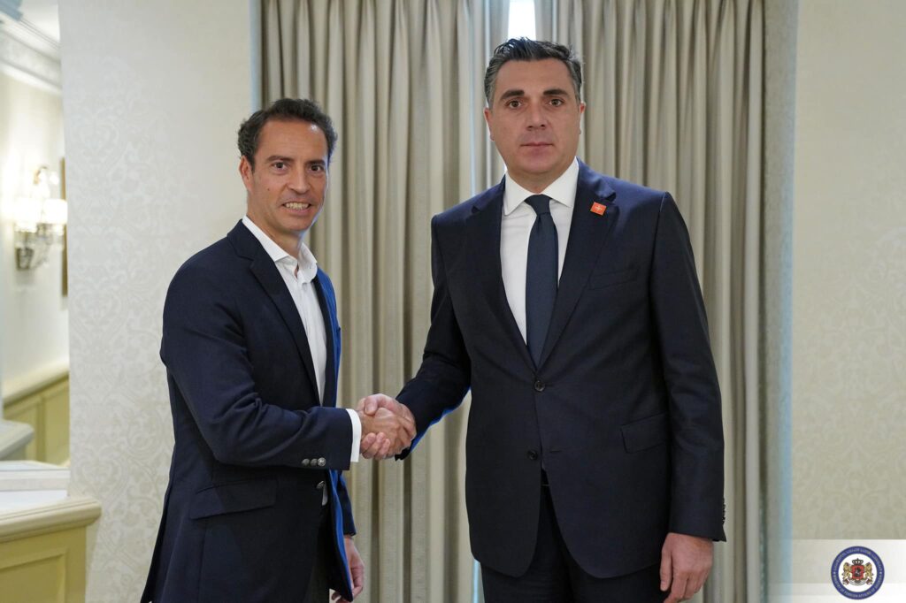 Georgian FM meets NATO Special Representative