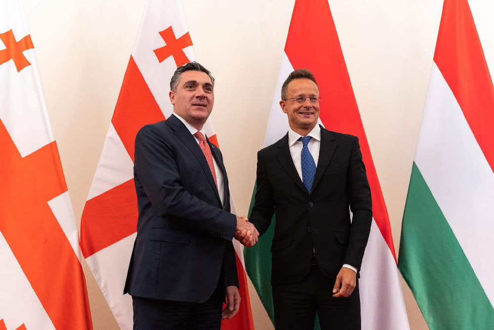 Hungarian FM urges EU to fast-track Georgia’s integration