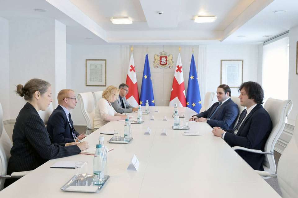 Georgian PM meets NDI Georgia Office Director, NDI Observation Mission members