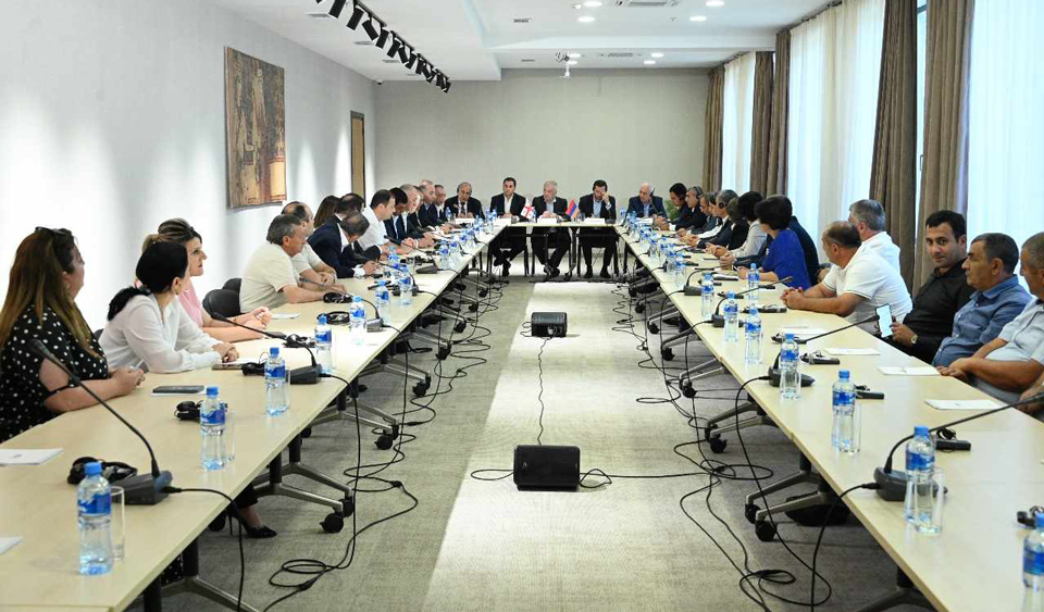 Վրաստանի և Հայաստանի խորհրդարանների բարեկամության խմբի անդամները հանդիպումներ են ունեցել Սամցխե-Ջավախքում