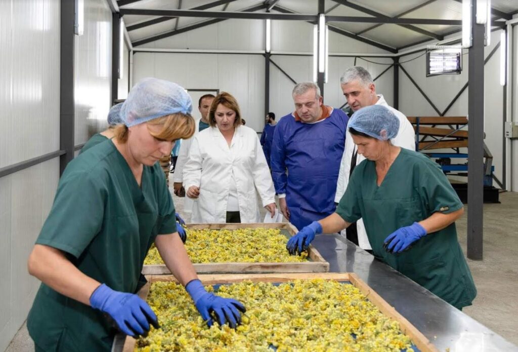 Agriculture Minister visits Geo Flower plant in Akhaltsikhe