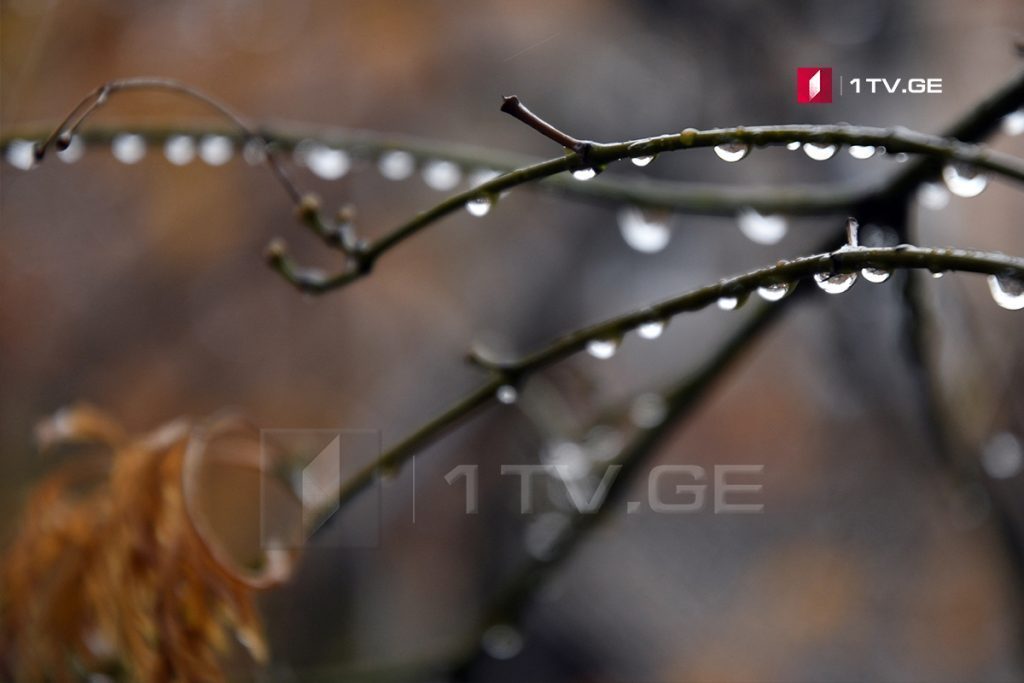 Rains in forecast across Georgia in coming days