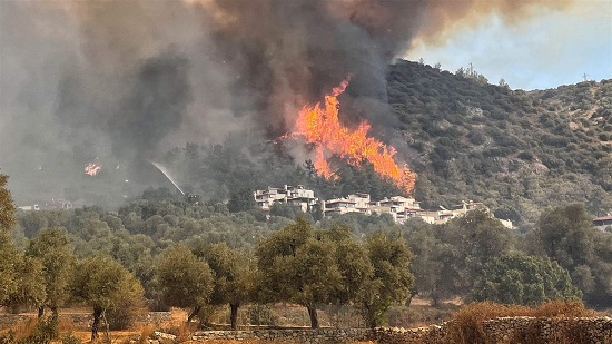 Türkiyənin Meşə Nazirliyi bildirir ki, hazırda ölkənin 5 vilayətində yanğın davam edir