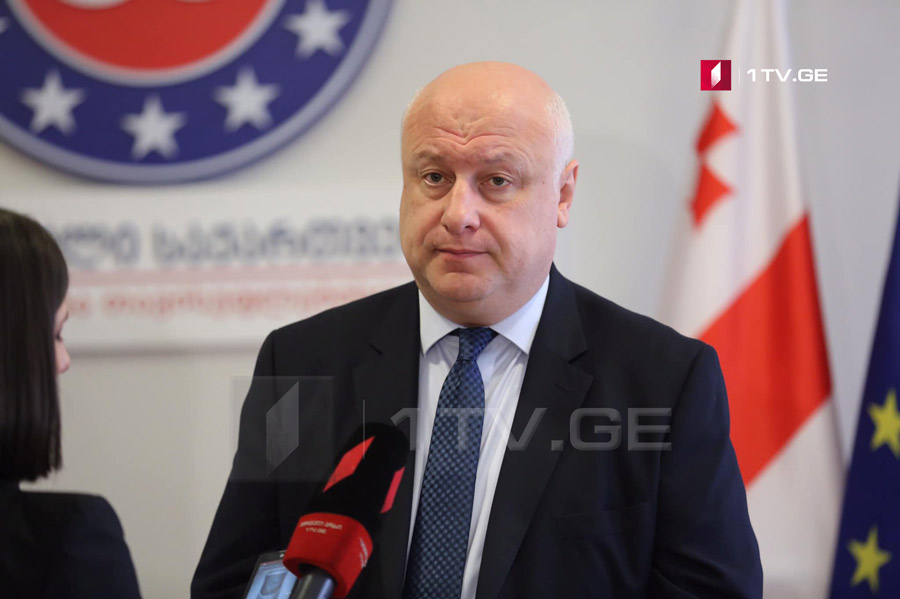 Gigi Tsereteli: Being "Unity" coalition member does not mean joining of parties