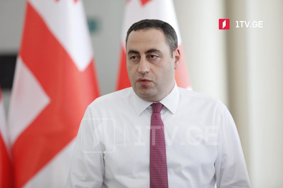 Strategy Aghmashenebeli leader says party "very transparent"