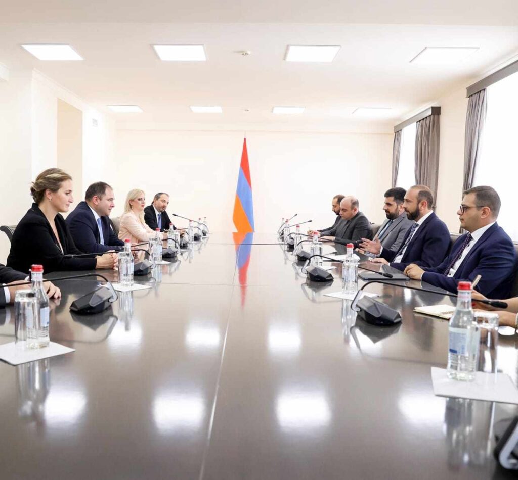 Նիկոլոզ Սամխարաձեն հանդիպել է Հայաստանի արտաքին գործերի նախարարին