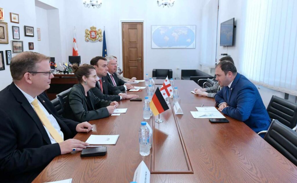 Foreign Committee Chair meets German Bundestag representatives 