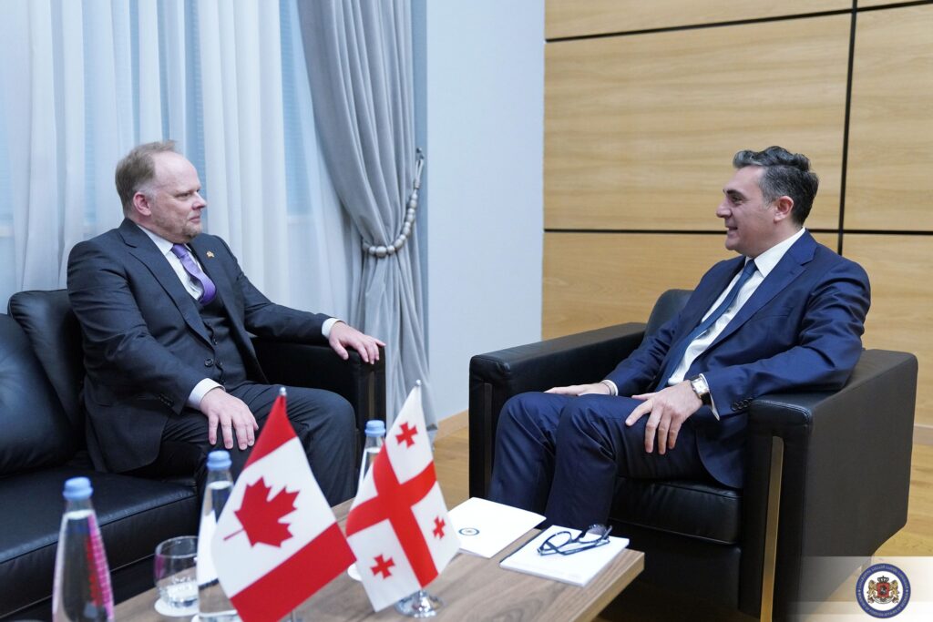 Georgian FM meets Canadian Ambassador