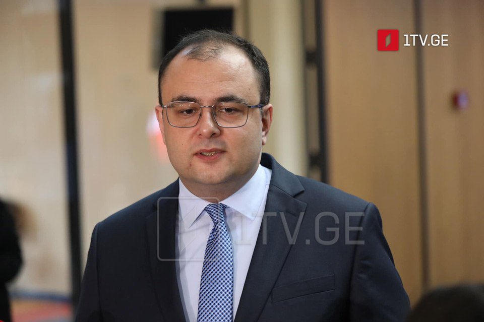 Justice Minister: NGOs can monitor elections; political activity requires forming a union