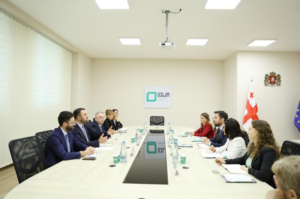 CEC Chairperson meets OSCE/ODIHR representatives