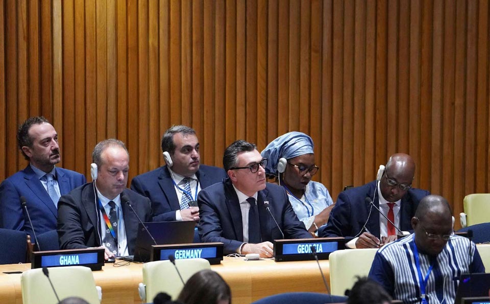 Georgian FM attends UN Summit of the Future