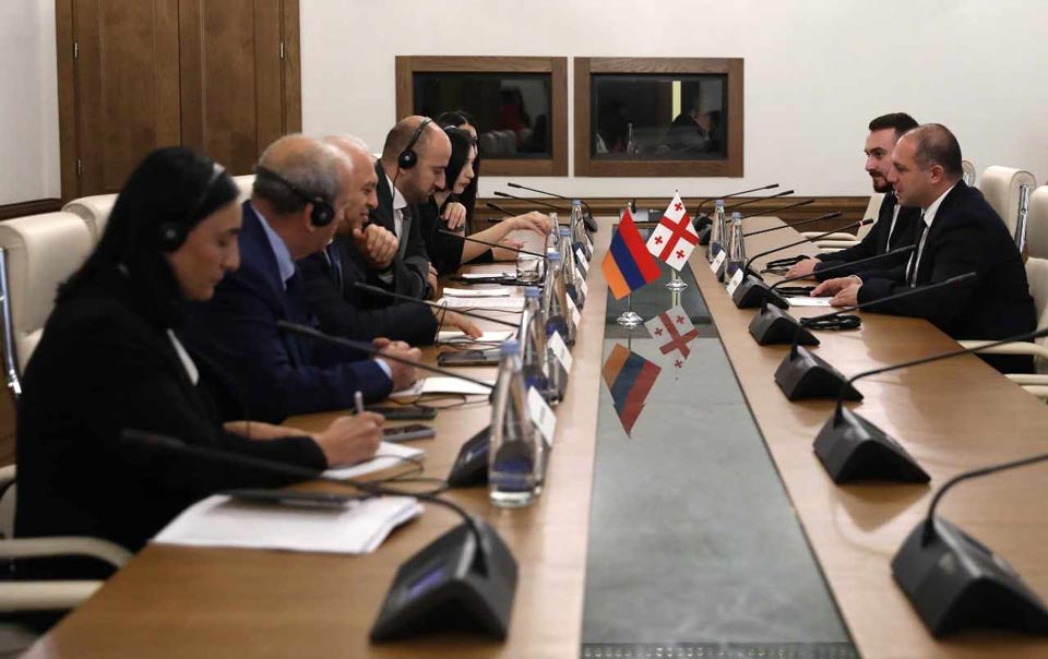 MP Mikanadze meets Armenian delegation