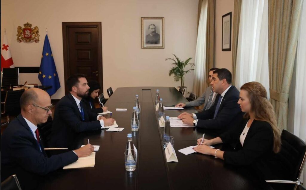 Speaker meets Head of OSCE/ODIHR observation mission