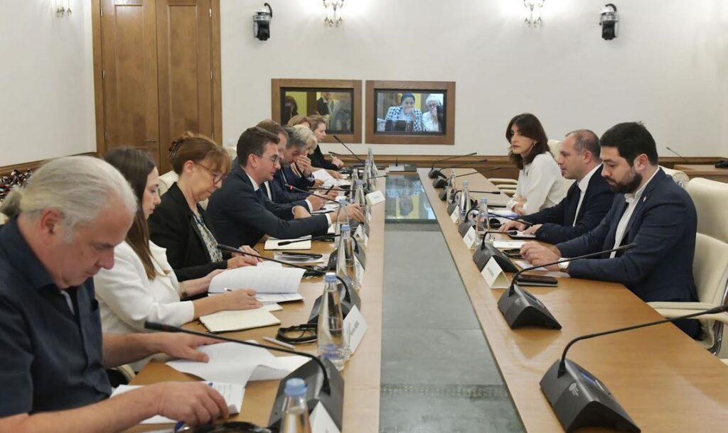 Parliamentary majority meets PACE pre-election mission