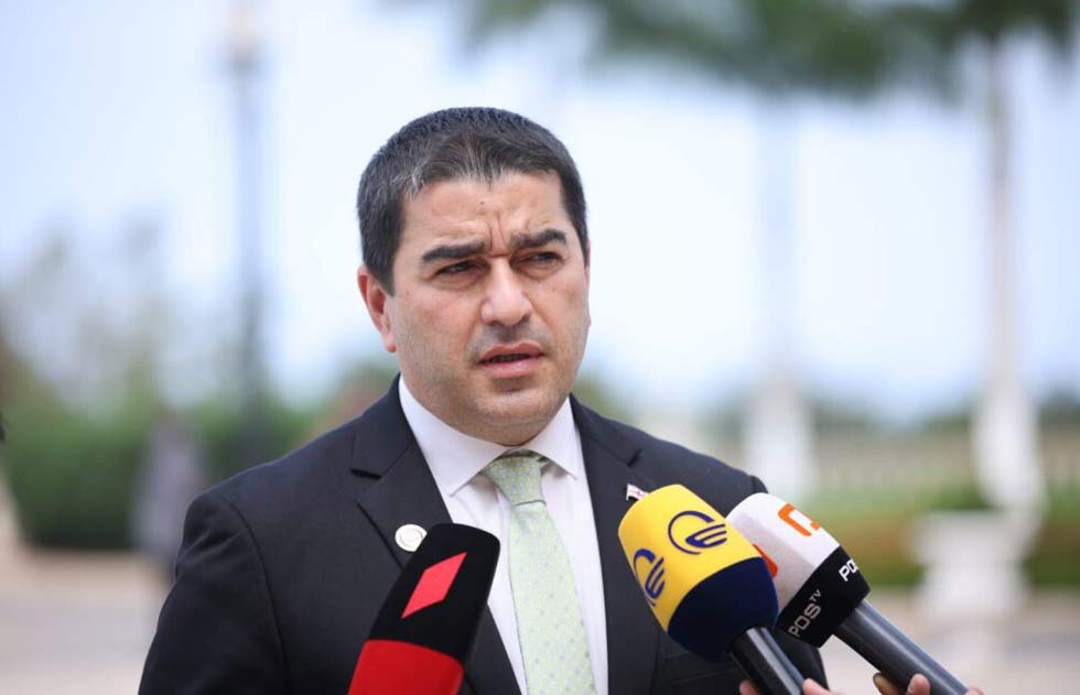 Şalva Papuaşvili - legitimliyi olmayan təşkilatlar viza liberallaşdırılmasının ləğvi tələbi də daxil olmaqla, hər cür zərərə yol verirlər