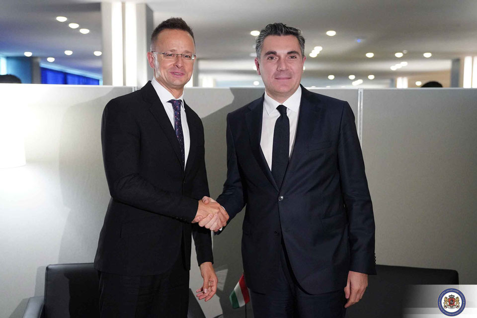 Georgian Foreign Minister meets Hungarian counterpart