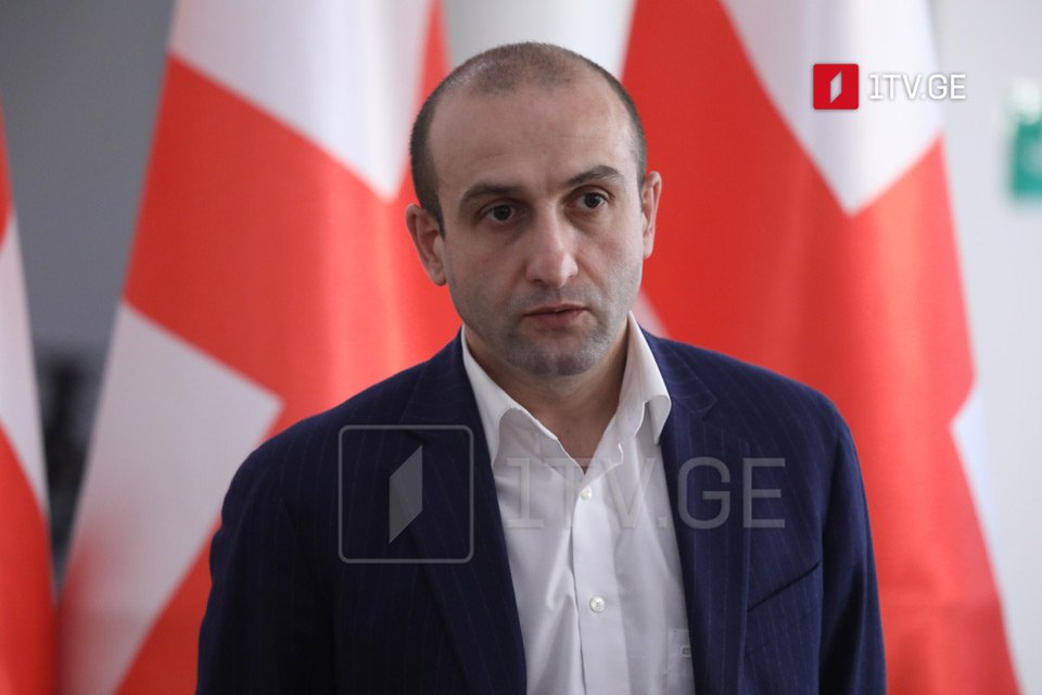 Girchi leader is sceptical of Russian aid promises from Lavrov and Putin