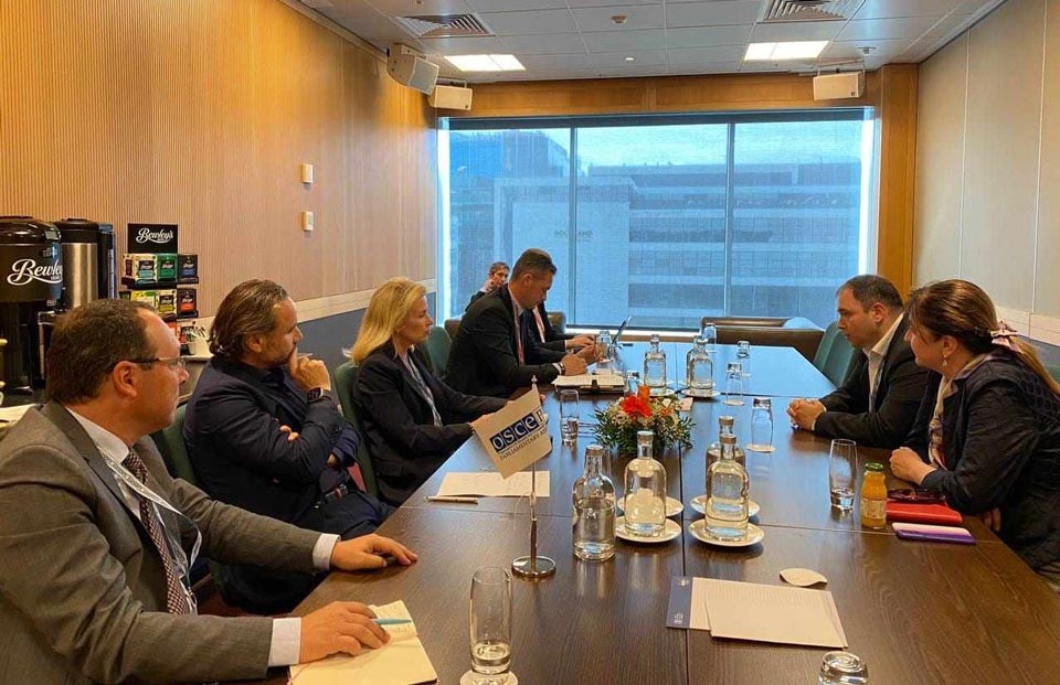 Foreign Relations Committee Chair meets OSCE PA Observer Mission Head