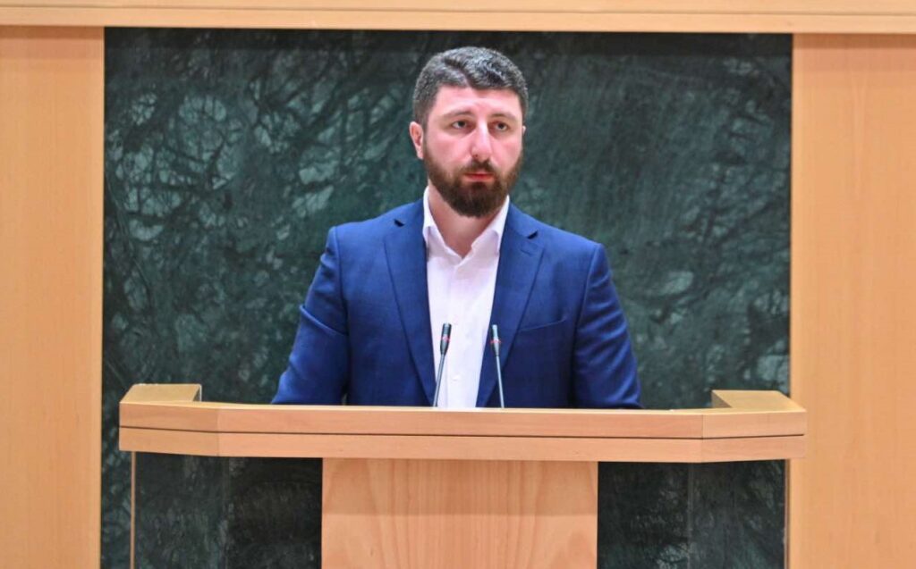 GD's Gorduladze: President's Charter violates sovereignty; winning party to form gov't