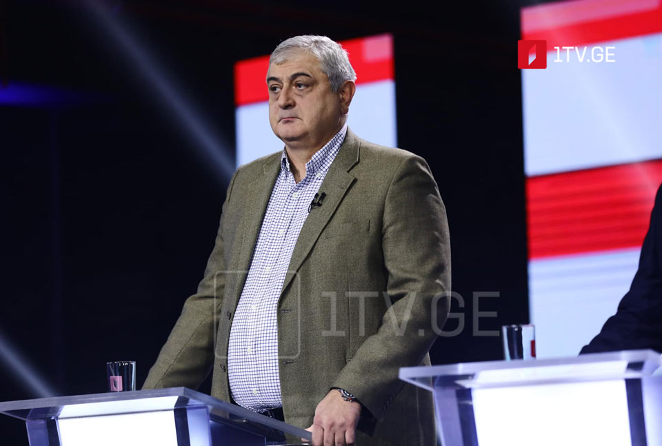 European Democrats' Vashakidze: We hope elections signify advancement in establishing normal political culture