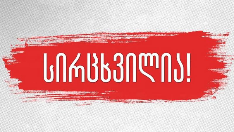 «Սիրցխվիլիա» կազմակերպությունը լքել է երկու անդամ