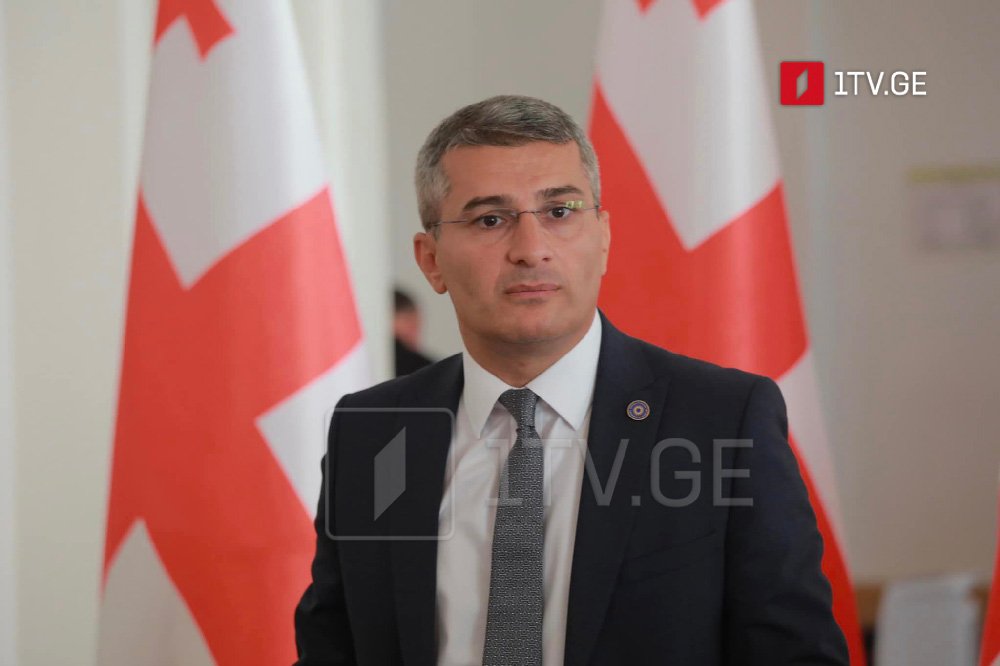 Mamuka Mdinaradze - Salome Zurabişvili, seçkilər Rus seçkisi idi və mən etiraf edə bilmərəm, ssenariyə görə, indi hamı çıxıb parlamentə girməyəcəklərini deməlidir