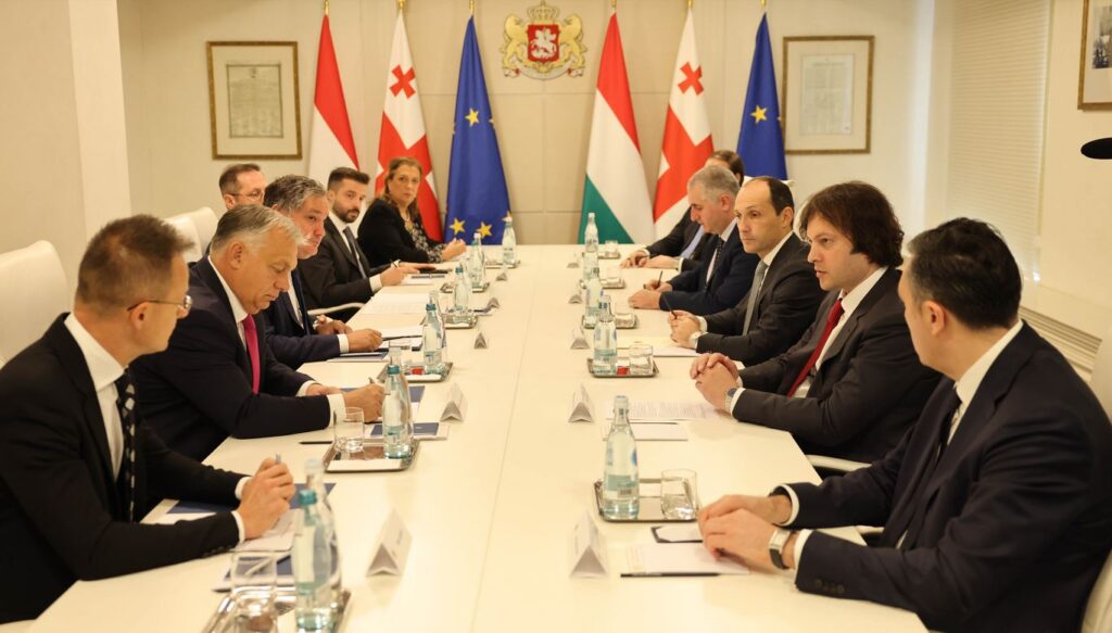 Georgian, Hungarian Prime Ministers meet